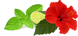 Metabolaid