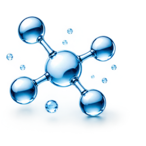 Acetyl L-Carnitine