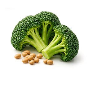 Broccoli Seed Extract