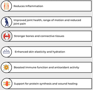 List of health benefits for Collagen Plus Joint on a white background