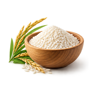 Rice Protein