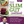 Dr. Nandi's Ultimate Fat Burning Guide & Dr. Nandi's Slim Gut Cookbook
