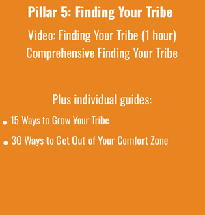 THE HEALTH HERO MASTERCLASS