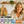 Women's 50+ Bundle