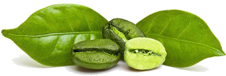 Green Coffee