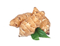 INULIN