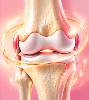 Healthy Joints